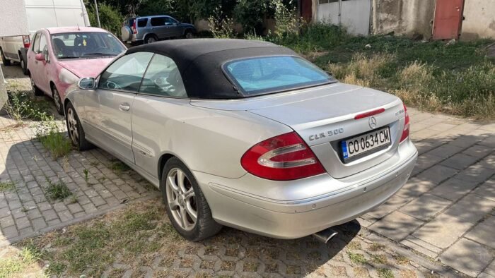 ΟΡΟΦΗ ΚΑΜΠΡΙΟ CLK209 - Image 4